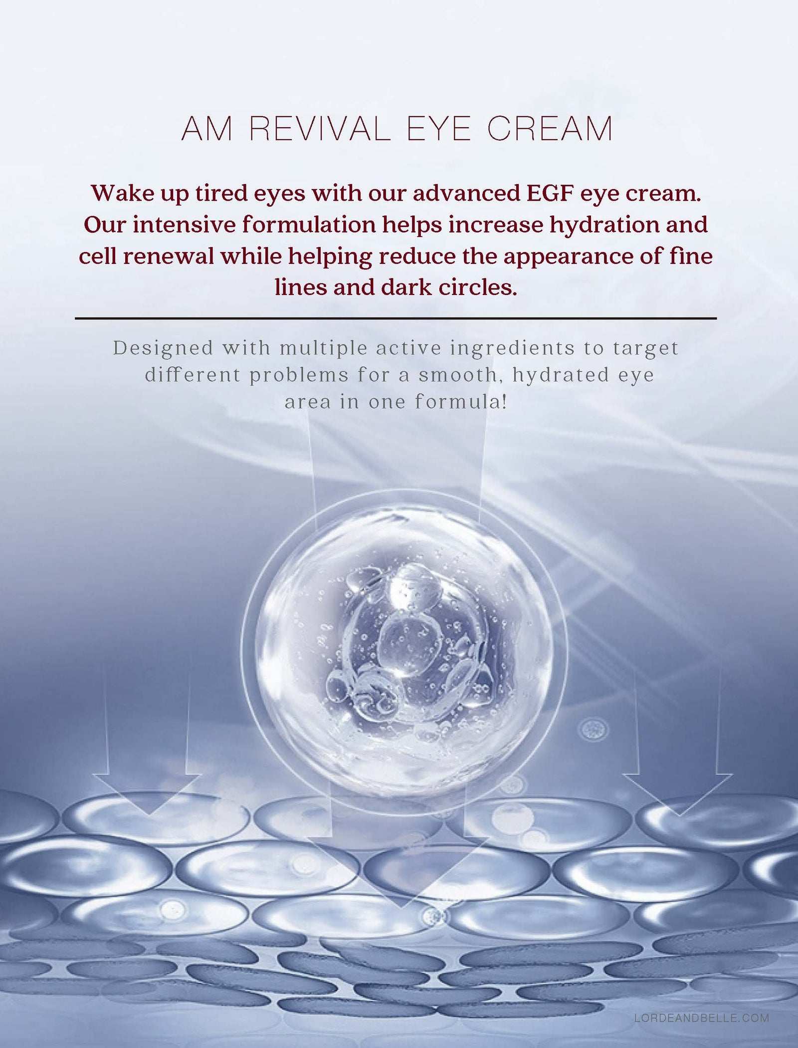 AM Revival Eye Cream with EGF for Dark Circles & Wrinkles – LORDE